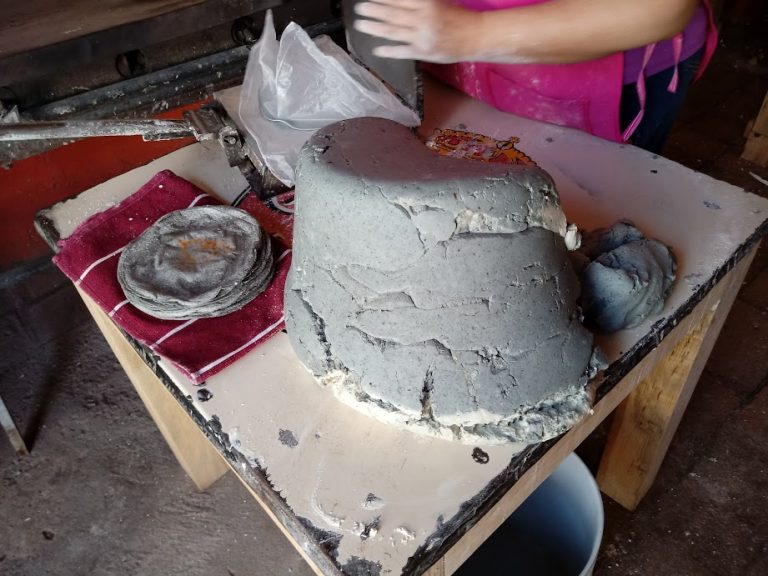 Jaliscocina Tortillas de maíz negro, delicia también visual