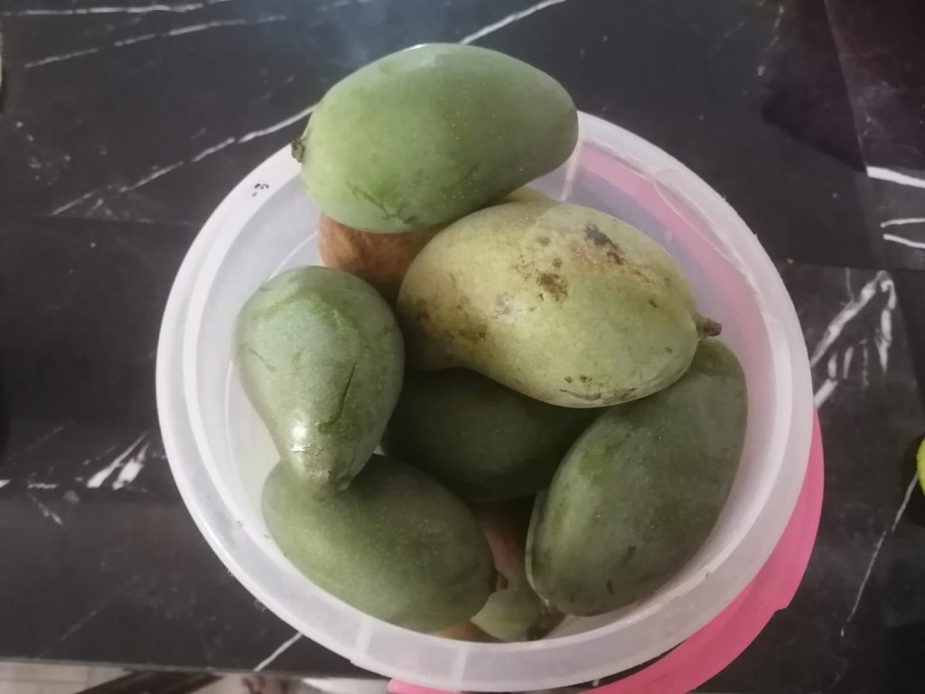 Jaliscocina El efecto pavloviano de los mangos verdes